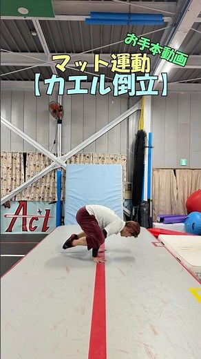 マット運動技紹介【カエル倒立】お手本動画 #shrots #体操 #アクロバット #マット運動 #北海道