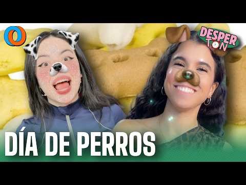 #ELDESPERTON | UN LUNES MUY PERRUNO DESPUÉS DE UN FINDE SOLEADO