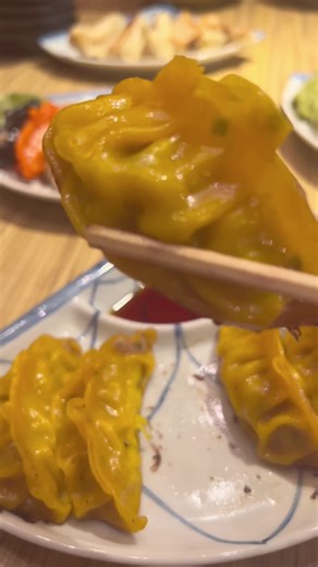 Shinjuku Kakekomi Gyoza: A Must-Try for Gyoza Lovers