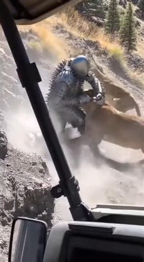 DO NOT BLINK 😱 | Lion Attack Caught on Camera