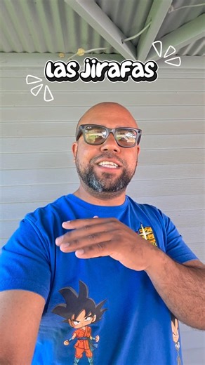las jirafas tienen la lengua de color azul #sabiasque #datoscurisos #viral #parati #animals