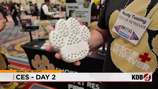 Consumer Electronics Show 2026 Day 2 | What the Tech?