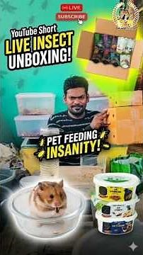 Hamster-க்கு Live Food? 🐹🐛 Healthy Protein Feeding! #hamster