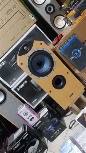 High End Speaker Tannoy Eyris DC1 Playing Audiophile Voice And Instruments