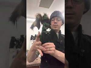 Small shoulder puppet instructional video