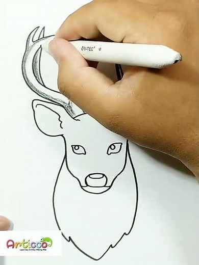 DRAWING DEER HEAD