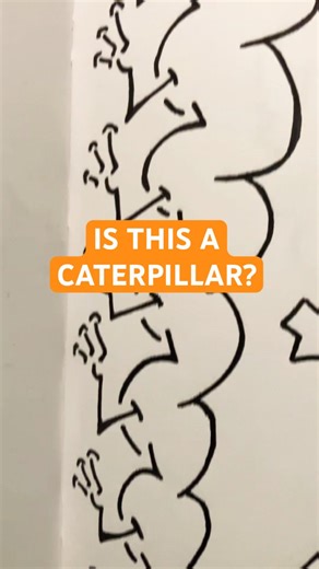 Weird Caterpillar Drawing - Sketchbook Doodle From 1999 #artist #artwork