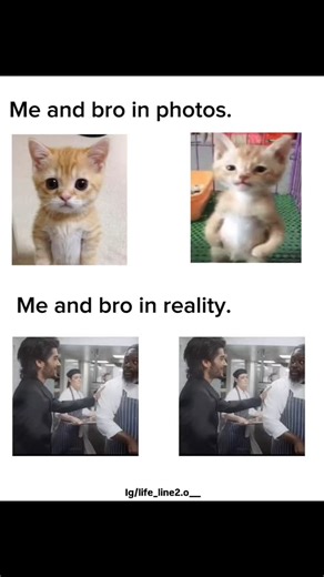 푱푰푴푴풀⚡ on Instagram: "Frrrrr.....헠헮헻혁헶헼헻 혆헼혂헿 friend ❤️!…… . . . . . ꜰᴏʟʟᴏᴡ @_whois.jimm4t_ ꜰᴏʀ ᴍᴏʀᴇ ….. . . . . . . . . #fyp #love #couple #aesthetic #foryou #lyrics #aestheticedits #explorepage #baby #relatable #relationships #relationshipgoals #funnyvideo #funnymeme #life_line_2 #explore #couplegoals #lover #funny"