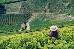 Le Sancerrois - Tourisme Sancerre - Office de tourisme du Grand Sancerrois