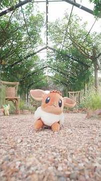 How Should I Evolve My Eevee?