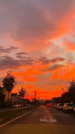 6.1K views · 353 reactions | Bir sabah İznik ️李 #iznikikesfet #iznik #bursa #lake #animals #keşfet #günbatımı #sunset #sonbahar #autmn #explore #discover #nature #explorepage✨ #virals #reels #rainy #spring #springtime #forest #morning | İznik'i Keşfet | Facebook