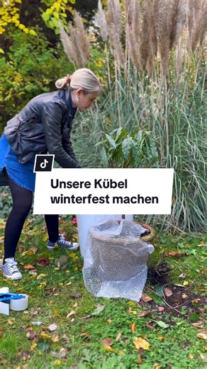 Kübelpflanzen winterfest machen: So schützt ihr sie!