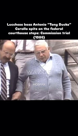 Lucchese boss Tony “Ducks” Corallo spits on the courthouse steps (1986)