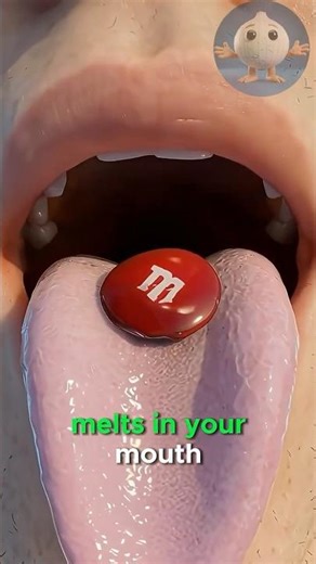 The Military Secret Behind M&M’s 🍫🪖🤯