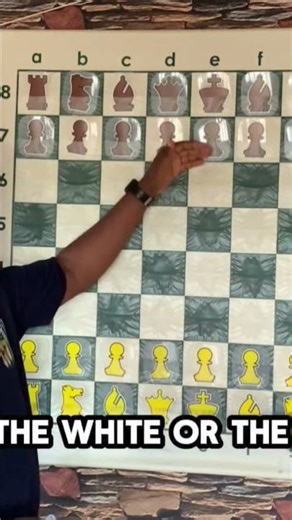 The Bishop Explained: Diagonal Moves Made Simple #chess #siciliandefense #chessgame #fun #checkmate