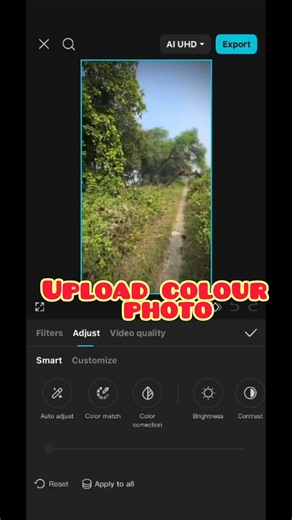 CapCut Colour Grading Copy Paste | Cinematic Color Preset Free | Easy Editing Tutorial