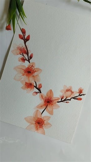Simple & Elegant cherry blossom in Watercolor #art #watercolor #flowerpainting #floralart #painting