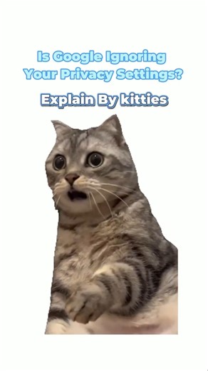 Is google ignoring your privacy settings?