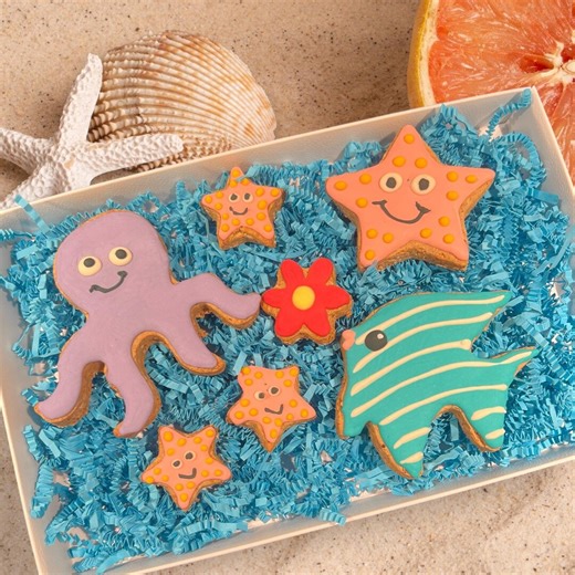Frosted Dog Treats Box - Under the Sea Theme - Etsy
