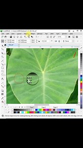 Make a water drop logo in Coreldraw #coreldraw #make #water #drop #logo | 2-Minute Crafts