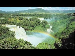 Biodiversity in Latin America