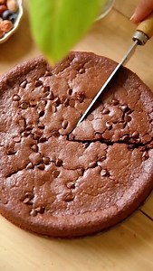 Gâteau fondant choco/noisettes C'est parti pour un gâteau ultra fondant et toujours sans oeuf sans lait sans beurre mais bien gourmand tout de même. Facile à réaliser et à manger 😍 Les jours raccourcissent, les temps devient automnale il faut bien se réconforter non ? 😂 Recette Pour 6/8 parts 🌸190g de chocolat noir 🌸80g de farine 🌸40 de poudre de noisette 🌸50 à 70 g de sucre 🌸1 petite cc de levure chimique 🌸1 CS de cacao en poudre (facultatif mais c'est mieux je trouve ) 🌸55g de compote