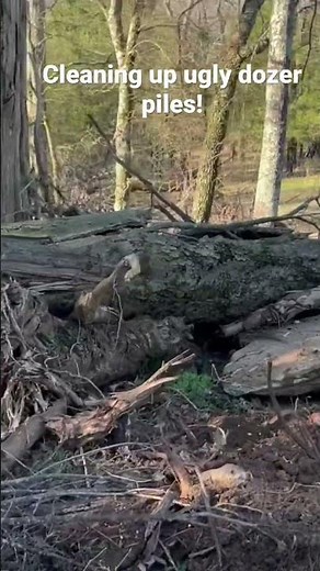 See why we don’t clear land with a dozer.