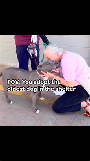 25K reactions · 486 comments | POV: You just adopted the oldest dog...