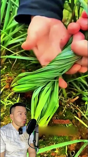 El truco de la abuela para atar cebollín con la misma planta