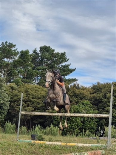 First Jump Experience: Bareback Canter Highlight