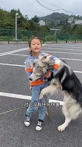 1.9M views · 10K reactions | 看到你的变化，这个国庆不休息，也挺值得的，付出就有收获。#付出 #耐心 | C u t e G i r l | Facebook