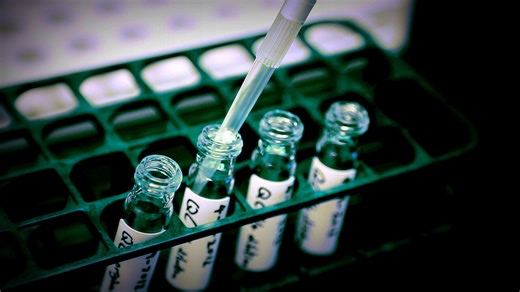 The Human Experiment | Netflix