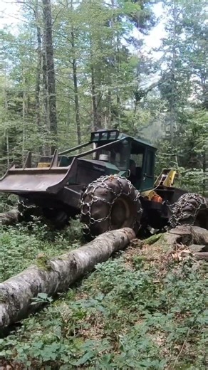 Forestry Trick: Timberjack Removing a Hung Tree- No Winch