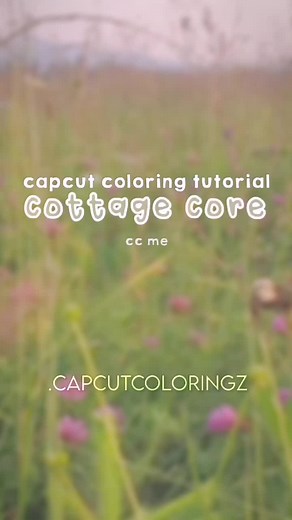 cottage core🌷✨ || #fyp #capcutcoloring #cottagecore #tutorial #ccme #foryou #foryoupage || vc: @xoangelicc