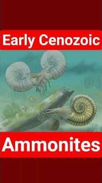 It was recently revealed that Ammonites survived the Cretaceous! #science #paleontology #fossil