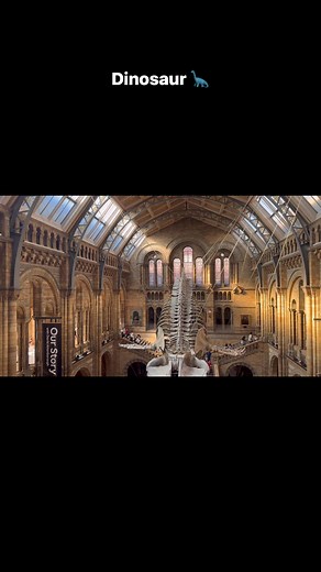 Dinosaur 秊 Natural History Museum London | MD Aminur Rahman | Facebook