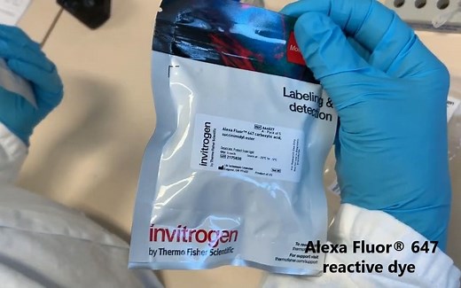[实验方法] 对抗体进行Alexa Fluor™荧光标记