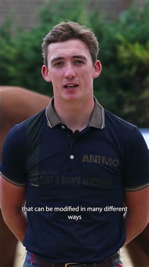 The Grid Exercise Every Showjumper Should Try