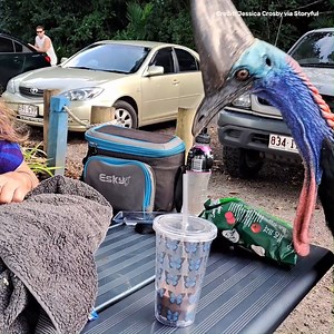 94K views · 937 reactions | This is a dinosaur.  | IFLScience | Facebook