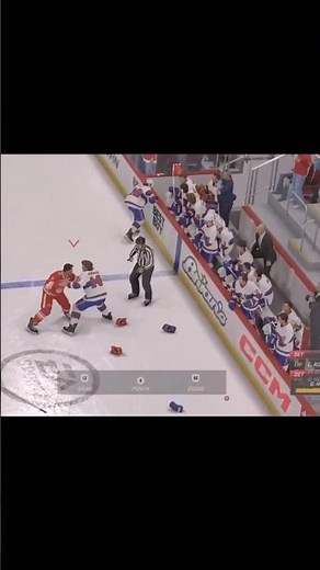 Gordie Howe Fights Larry Robinson