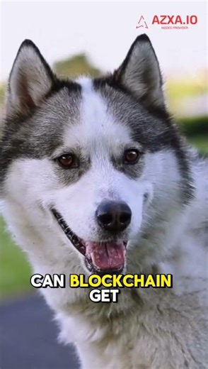 Me Explaining Blockchain to My Dog | Crypto Humor Short