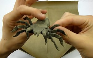 【折纸】罗伯特朗-狼蛛折纸教程--Origami 8 Legged Tarantula Tutorial (Robert Lang)