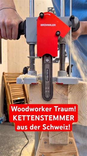 🇨🇭 SO easy kann’s gehen! SCHWEIZER KETTENSTEMMER von BRÜHWILER im Speed Check #shorts #diy