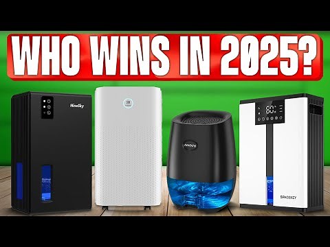 TOP 5 Best Dehumidifiers 2025
