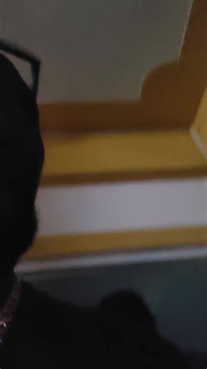 DJ war face (@dj_warface_1)’s videos with original sound - DJ war face