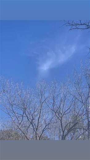 It’s a beautiful day in our Walker County neighborhood! | All Things Walker County