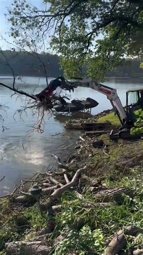 Storm cleanup of fallen trees! #stormwork #ttse