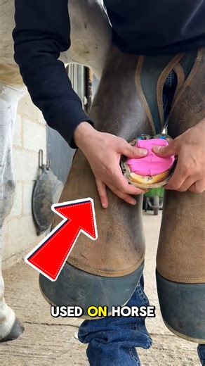 14K views · 48 reactions | What is Hoof Packing? Hoof packing is a...