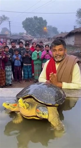 Rare Three-Headed Turtle Sighting