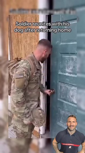 16M views · 35K reactions | Tellement de puissance dans cette vidéo  殺 #Lavieestbelle #army #dog #life | Remi_ragnar | Facebook